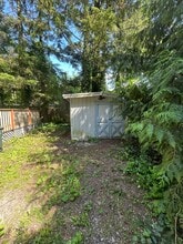6151 Shamrock Rd in Maple Falls, WA - Building Photo - Building Photo
