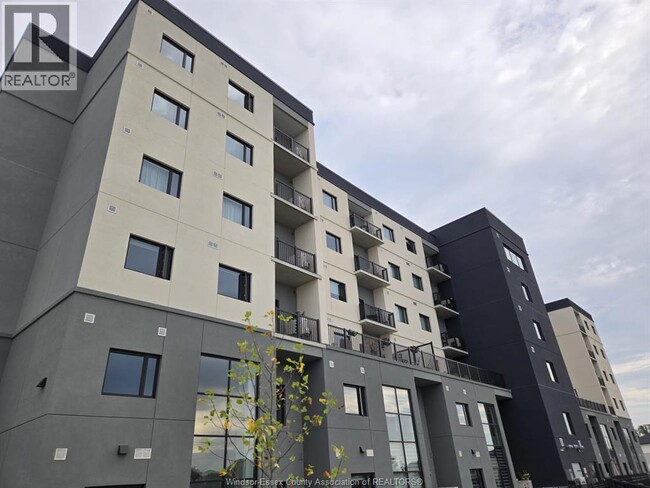 property at 7337 Meo Blvd