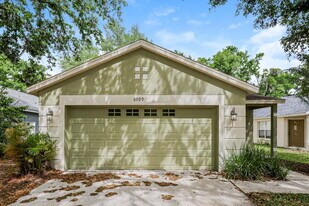 6009 Kiteridge Dr in Lithia, FL - Building Photo