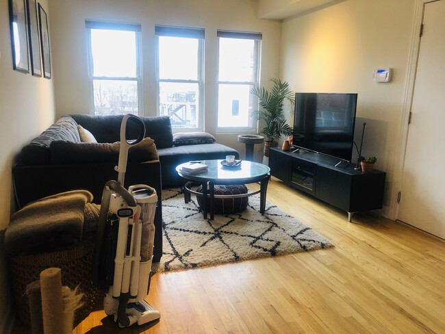1150 W Cornelia Ave-Unit -1150-3 in Chicago, IL - Building Photo - Building Photo