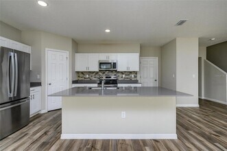 34200 Scarlet Sage Ct in Wesley Chapel, FL - Building Photo - Building Photo