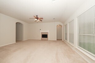 21315 River Knoll Ln in Katy, TX - Building Photo