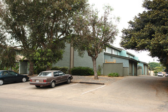 1021 N Vulcan Ave in Encinitas, CA - Building Photo - Building Photo