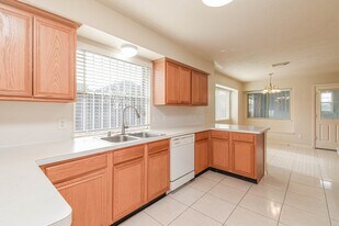 13735 Branford Greens Dr in Houston, TX - Building Photo