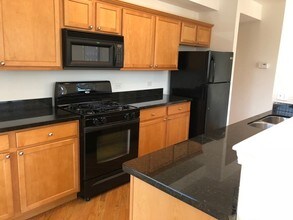 343 W Old Town Ct in Chicago, IL - Building Photo - Building Photo