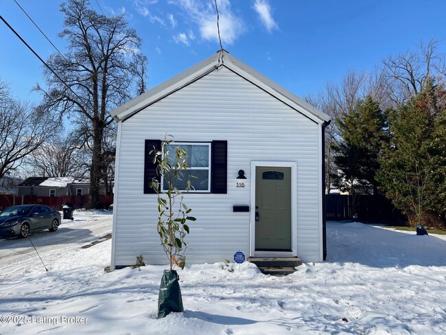 316 N 19th St in Louisville, KY - Building Photo - Building Photo