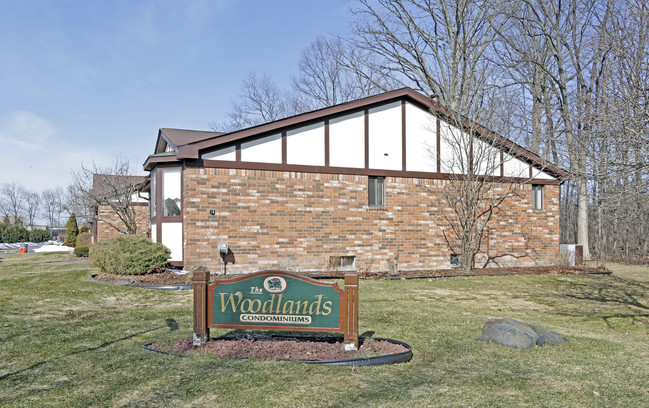 The Woodlands Condos in Southfield, MI - Foto de edificio - Building Photo