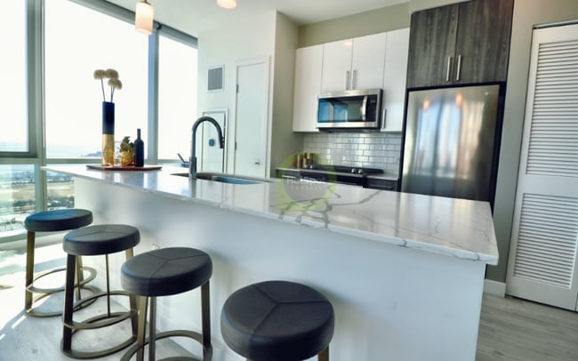 720 S Michigan Ave in Chicago, IL - Foto de edificio - Building Photo