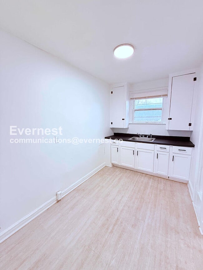 15736 Steel St in Detroit, MI - Building Photo - Building Photo