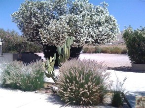 66949 Terrace Way in Desert Hot Springs, CA - Building Photo - Other