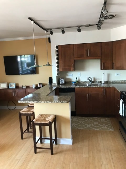 401 W Webster Ave, Unit 507 in Chicago, IL - Foto de edificio - Building Photo