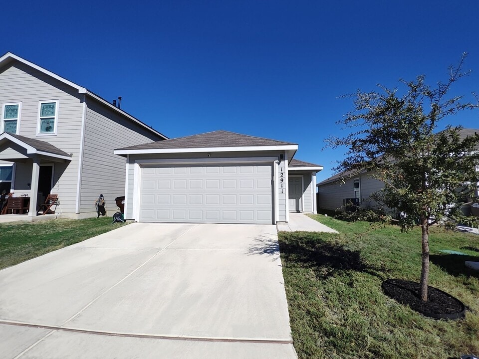 12911 Chinali Spgs in Saint Hedwig, TX - Building Photo