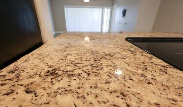 220 Talley Dr in Palm Harbor, FL - Building Photo - Building Photo