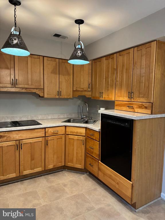 206 Ritter Pl in Berryville, VA - Building Photo - Building Photo