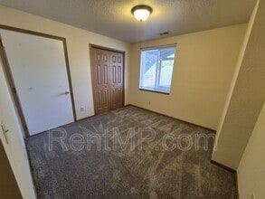 1021 S Mission St in Mt. Pleasant, MI - Building Photo - Building Photo