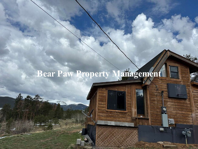 120 Rd P78 in Bailey, CO - Building Photo - Building Photo