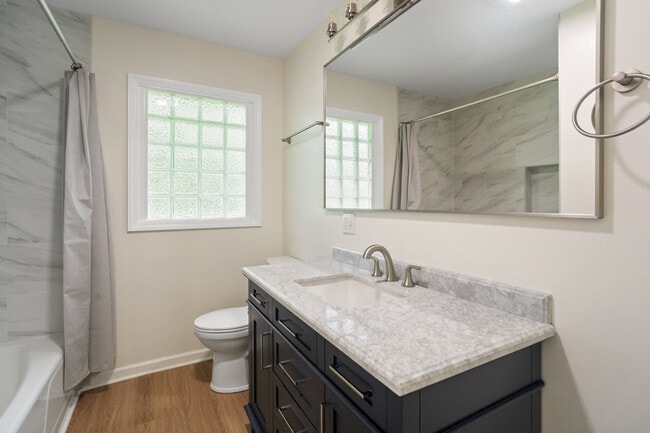 1009 Sylvia Cir in Rock Hill, SC - Building Photo - Building Photo