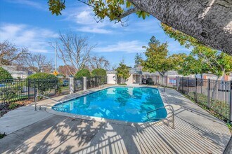 972 Ponderosa Ave-Unit -APT C in Sunnyvale, CA - Building Photo - Building Photo