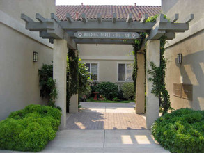 Vineyard Court in Morgan Hill, CA - Building Photo - Building Photo