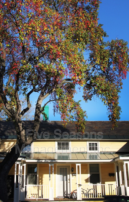 property at 202 Pine St