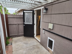 715 S Pine St in Escondido, CA - Building Photo - Building Photo