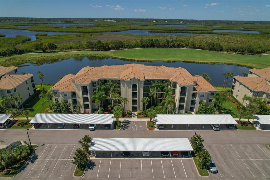 7015 River Hammock Dr in Bradenton, FL - Building Photo