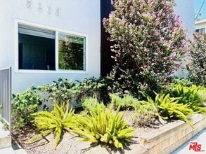 5263 Riverton Ave in Los Angeles, CA - Building Photo - Building Photo
