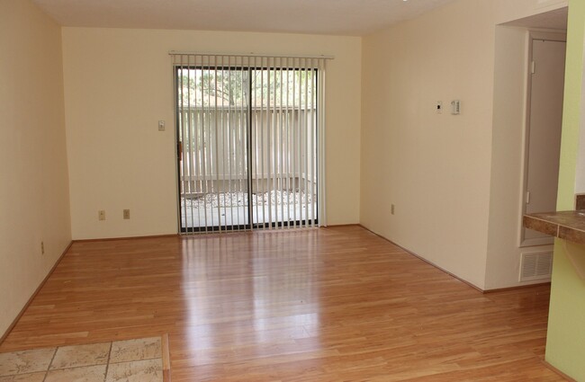 property at 941 Calle Mejia