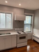 165 Chestnut Ave in Boston, MA - Building Photo - Building Photo