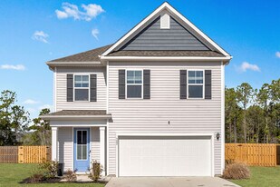 322 Royal Eagle Ct in Sneads Ferry, NC - Building Photo