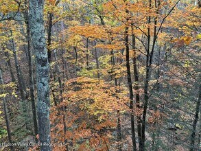 25 Ulla Terrace in Acra, NY - Building Photo - Building Photo