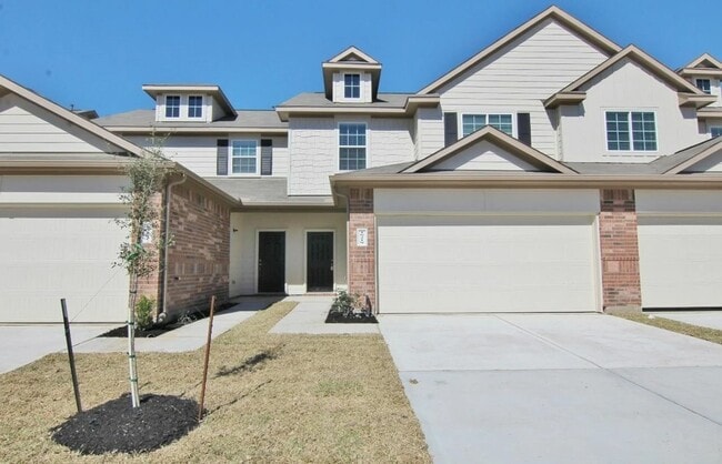 18218 Bethany Manor Ct in Katy, TX - Building Photo - Building Photo