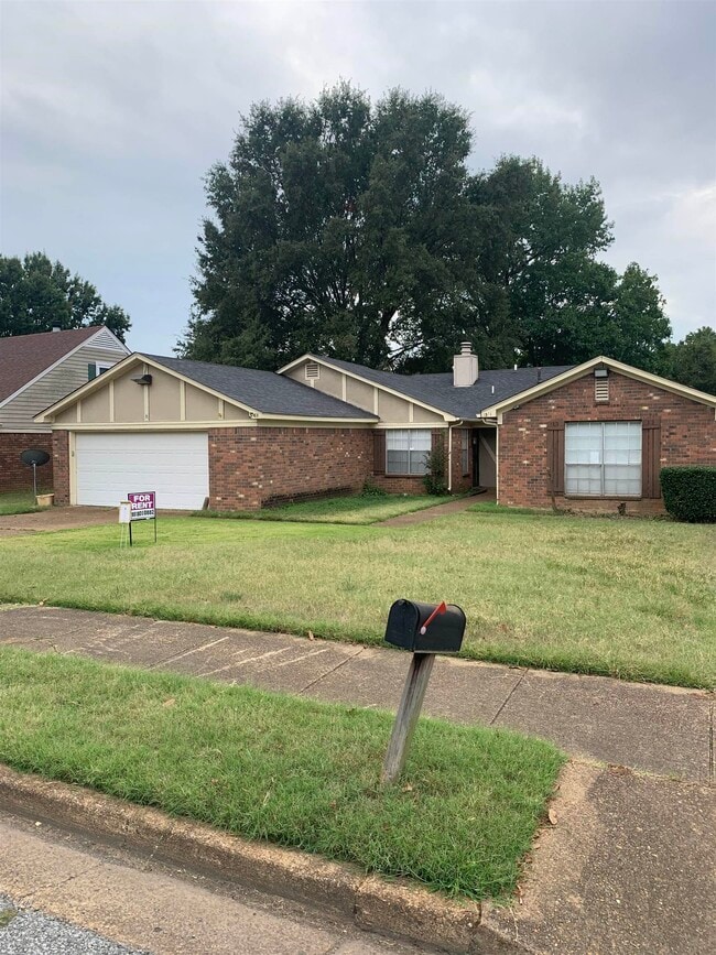 3381 Cristil St in Memphis, TN - Building Photo - Building Photo