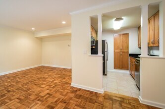 51 Thornton Rd in Chestnut Hill, MA - Building Photo - Building Photo