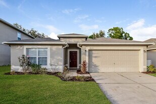 30139 Rattana Ct in Wesley Chapel, FL - Building Photo