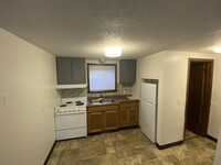 915 4th St SE, Unit 2 in Rochester, MN - Building Photo - Building Photo