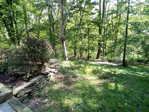 10614 Samaga Dr in Oakton, VA - Building Photo - Building Photo