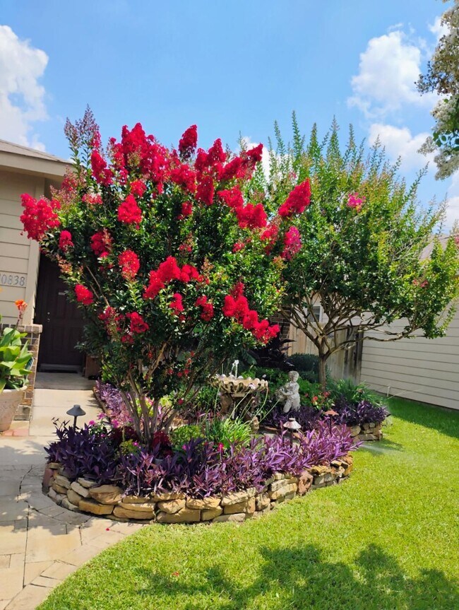 property at 10838 Harston Dr
