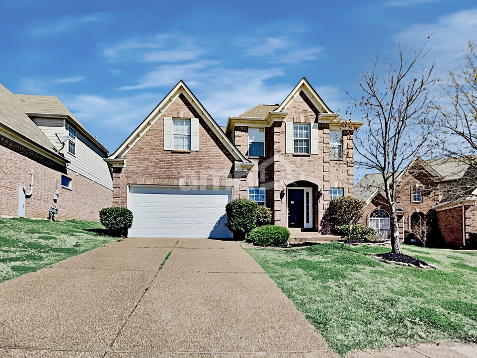 10242 Spruce Grove Ln in Cordova, TN - Building Photo