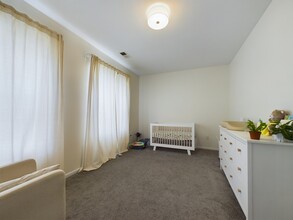346 E 25th Pl in Chicago, IL - Building Photo - Building Photo