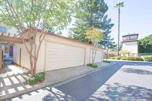 2036 Stone Pine Ct in Santa Clara, CA - Building Photo