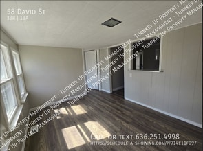 58 David St in Sauget, IL - Building Photo - Building Photo