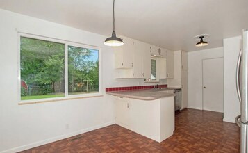 1920 Springfield Dr in Fort Collins, CO - Building Photo - Building Photo