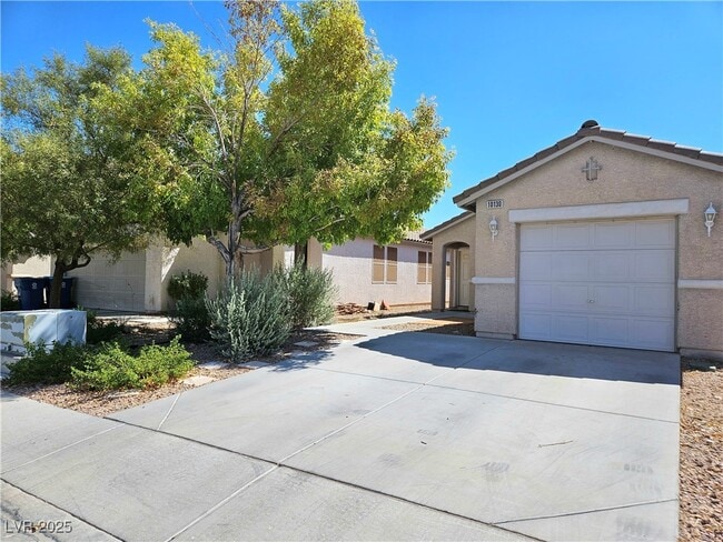 10130 June Flower Dr in Las Vegas, NV - Building Photo - Building Photo