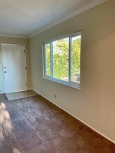 1156 W Hamilton Ave in Campbell, CA - Building Photo - Building Photo