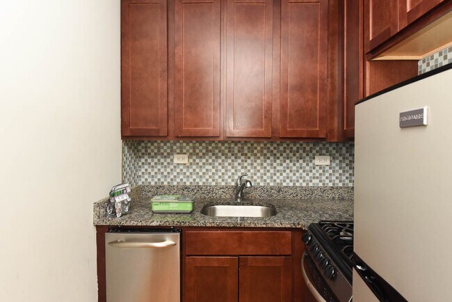 553 W Arlington Pl in Chicago, IL - Building Photo - Building Photo