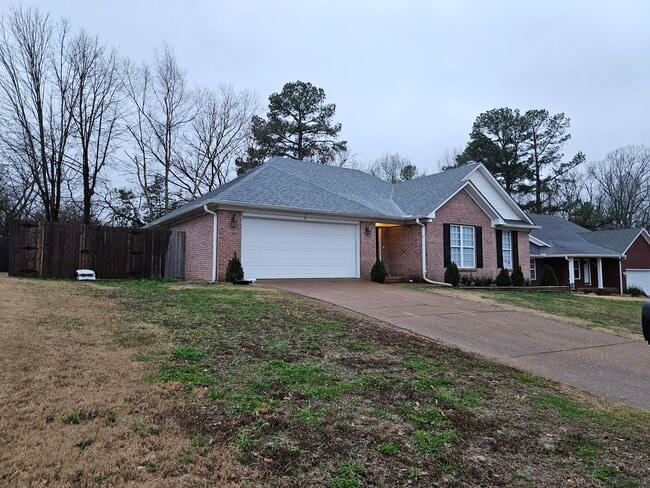 8 Walnut Grove Cove in Jackson, TN - Building Photo - Building Photo