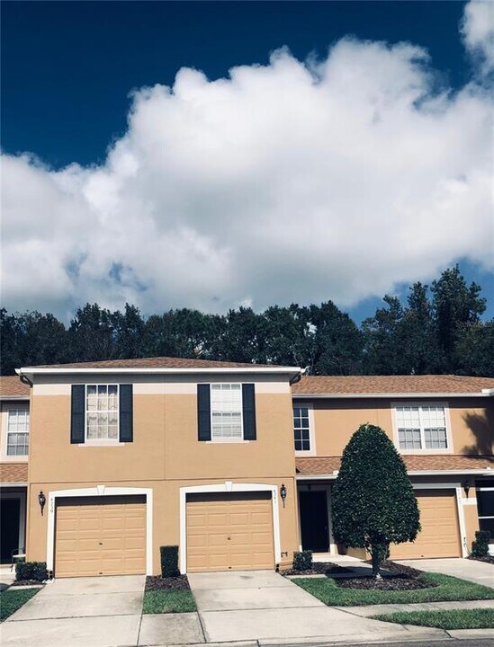 4241 Winding River Way in Land O Lakes, FL - Building Photo