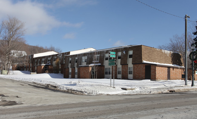 Mountain View Apartments - 56 Units in Hunter, NY - Building Photo - Building Photo