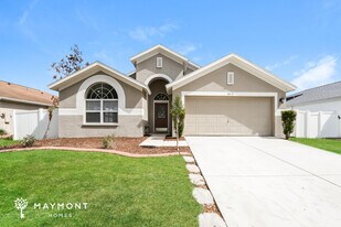 2614 Vinedale Ave in Valrico, FL - Building Photo